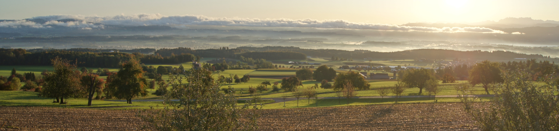 Herbst