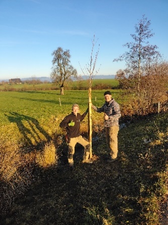 Ein Bild, das draußen, Himmel, Gras, Pflanze enthält.
KI-generierte Inhalte können fehlerhaft sein.